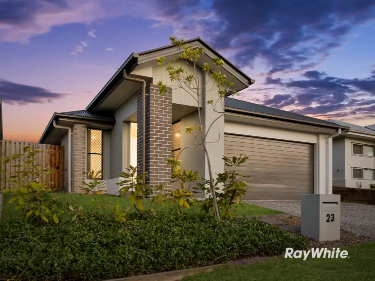 Main view of Homely house listing, 23 Sugar Maple Place, Park Ridge QLD 4125