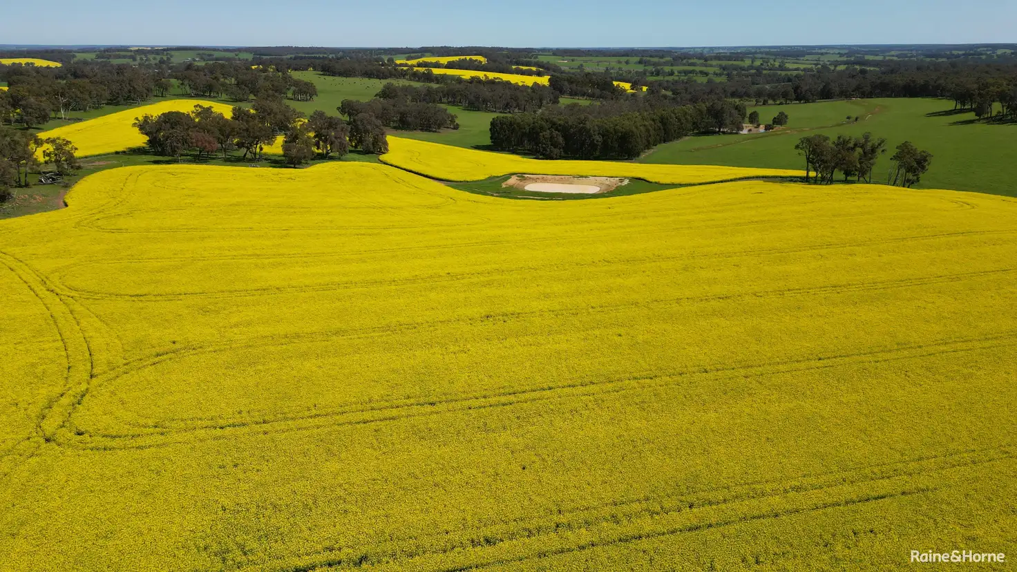 Main view of Homely rural property listing, 670 Six Mile Road, Mayanup WA 6244