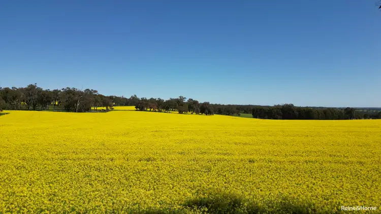 Second view of Homely rural property listing, 670 Six Mile Road, Mayanup WA 6244