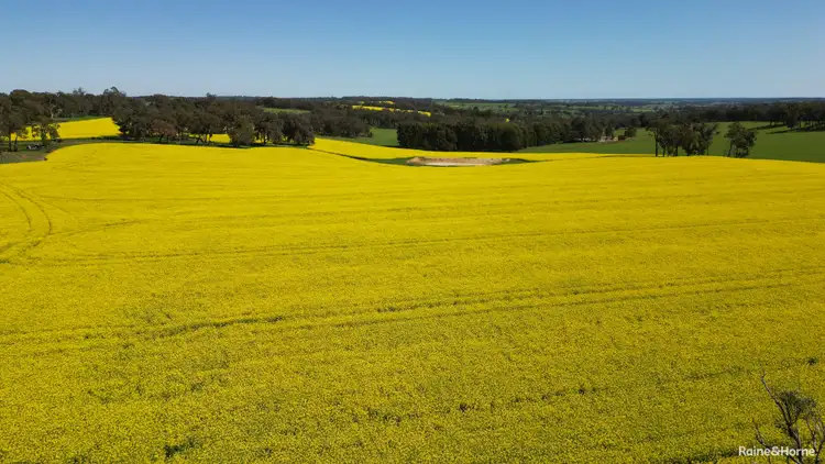 Third view of Homely rural property listing, 670 Six Mile Road, Mayanup WA 6244