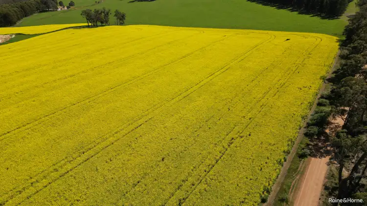 Fourth view of Homely rural property listing, 670 Six Mile Road, Mayanup WA 6244