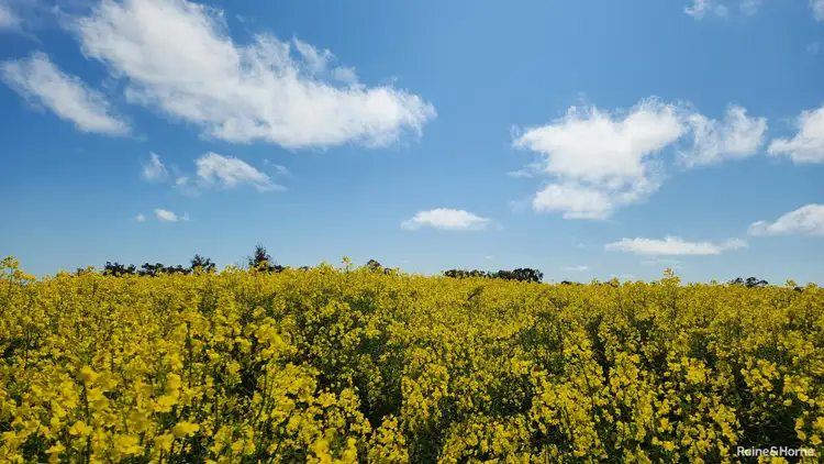Seventh view of Homely rural property listing, 670 Six Mile Road, Mayanup WA 6244