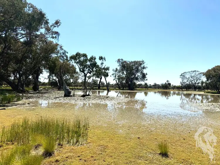1503 Werah Creek Road, Wee Waa NSW 2388