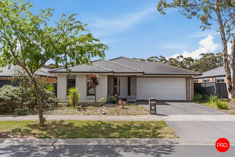Main view of Homely house listing, 29 Saltbush Street, Jackass Flat VIC 3556
