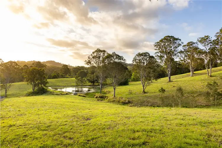 Second view of Homely house listing, 31 Fleetwood Road, Belli Park QLD 4562