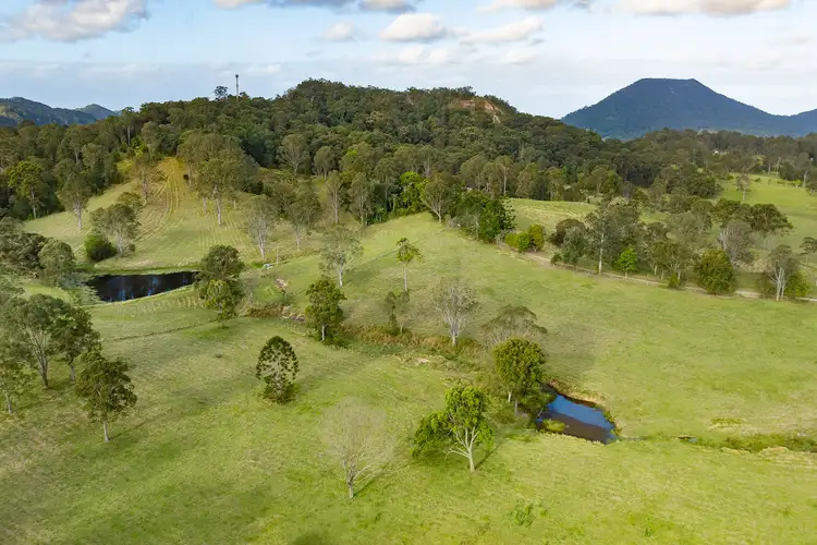 Fourth view of Homely house listing, 31 Fleetwood Road, Belli Park QLD 4562