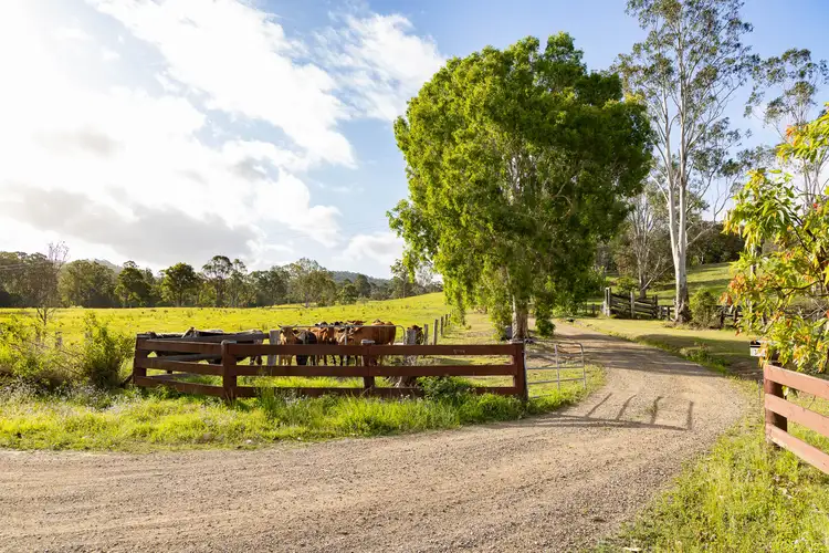 Fifth view of Homely house listing, 31 Fleetwood Road, Belli Park QLD 4562
