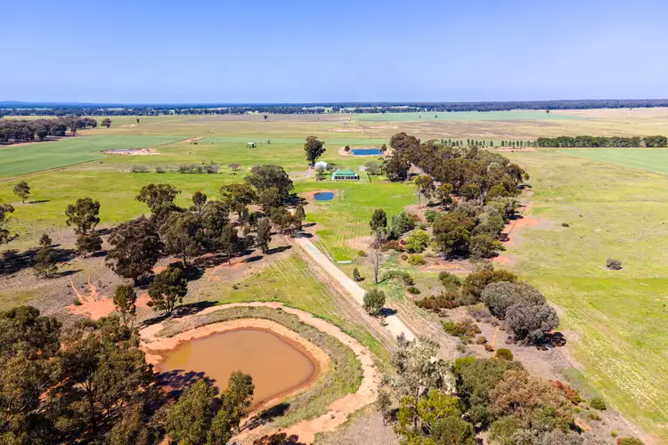 Second view of Homely rural property listing, 'The Cedars' Schmidts Road, Temora NSW 2666