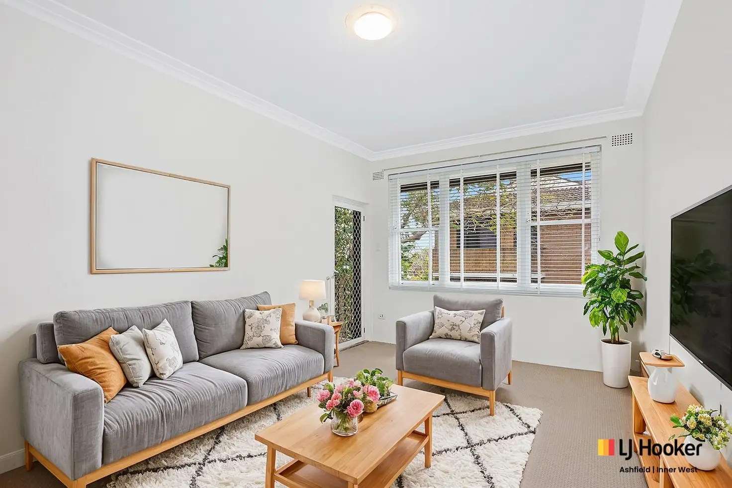Main view of Homely apartment listing, 5/49 Alt Street, Ashfield NSW 2131
