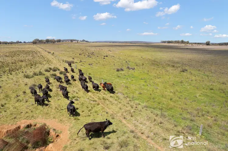 569 Wongoni Road, Dunedoo NSW 2844