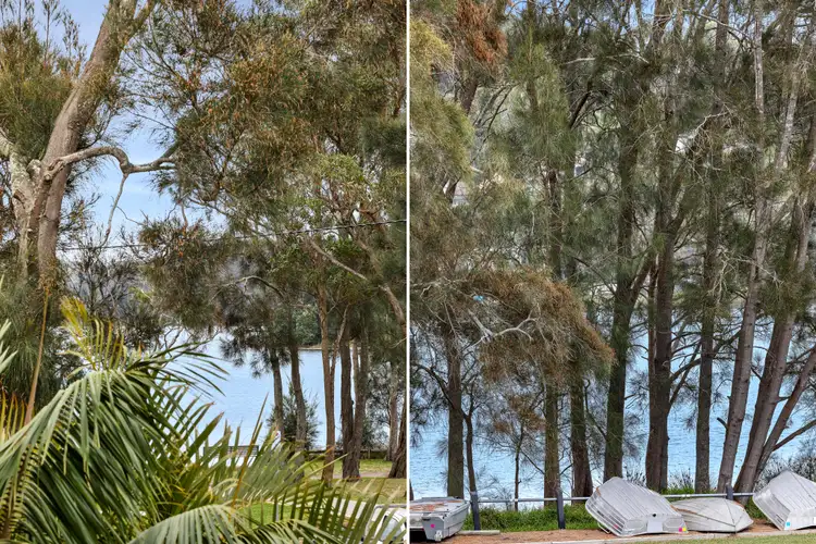 Third view of Homely apartment listing, 8/14-16 Robertson Street, Narrabeen NSW 2101