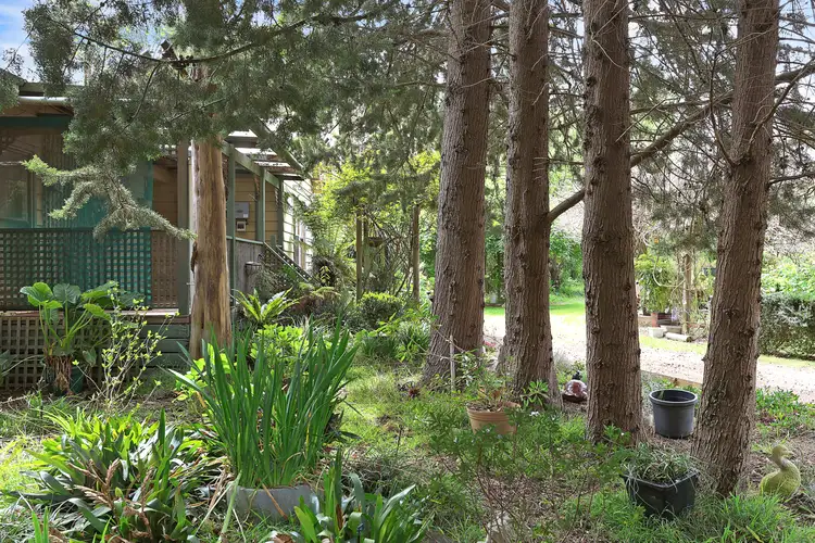Fourth view of Homely rural property listing, 3675 Camperdown-Lismore Road, Lismore VIC 3324