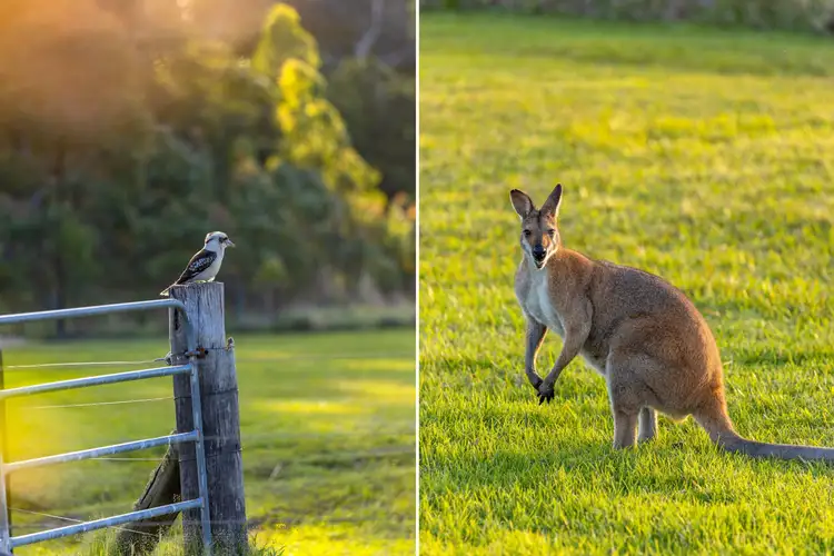 Fourth view of Homely rural property listing, 30 Kalawonda Road, Dyers Crossing NSW 2429