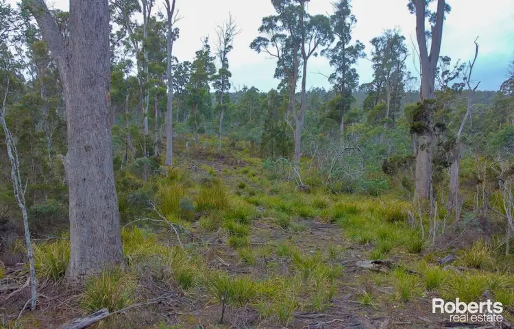 Main view of Homely rural property listing, 608 Lilydale Road, Underwood TAS 7268