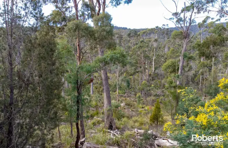 Second view of Homely rural property listing, 608 Lilydale Road, Underwood TAS 7268