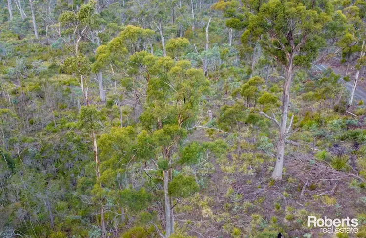 Fourth view of Homely rural property listing, 608 Lilydale Road, Underwood TAS 7268