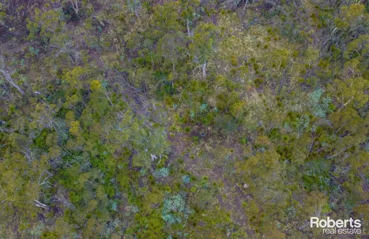 Fifth view of Homely rural property listing, 608 Lilydale Road, Underwood TAS 7268