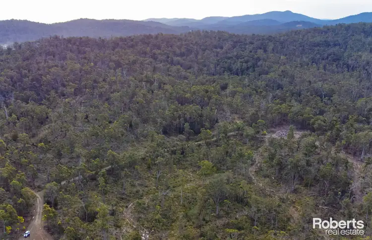Seventh view of Homely rural property listing, 608 Lilydale Road, Underwood TAS 7268