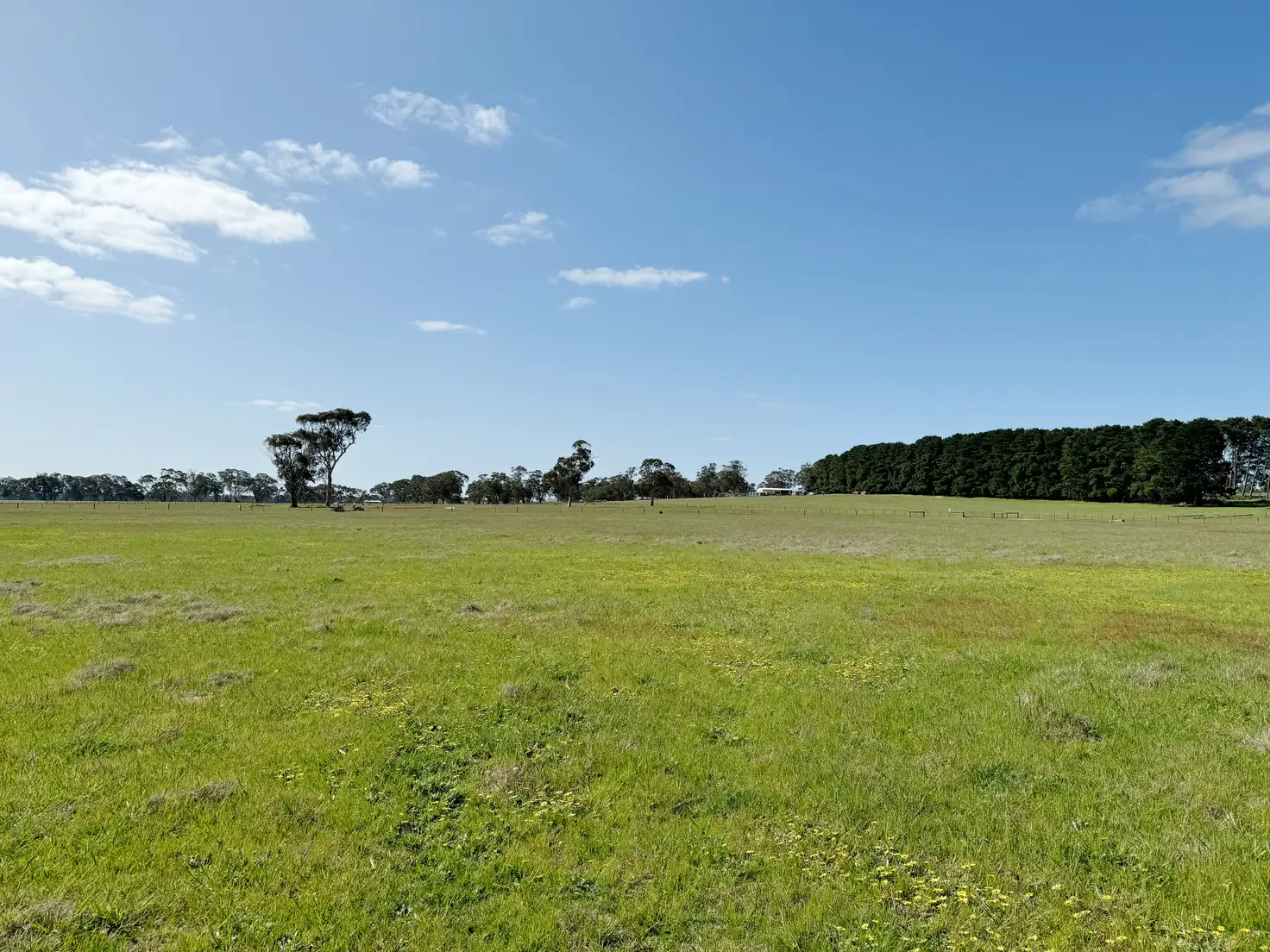 Main view of Homely rural property listing, Lot 25 Walla-Walla Road, Naracoorte SA 5271