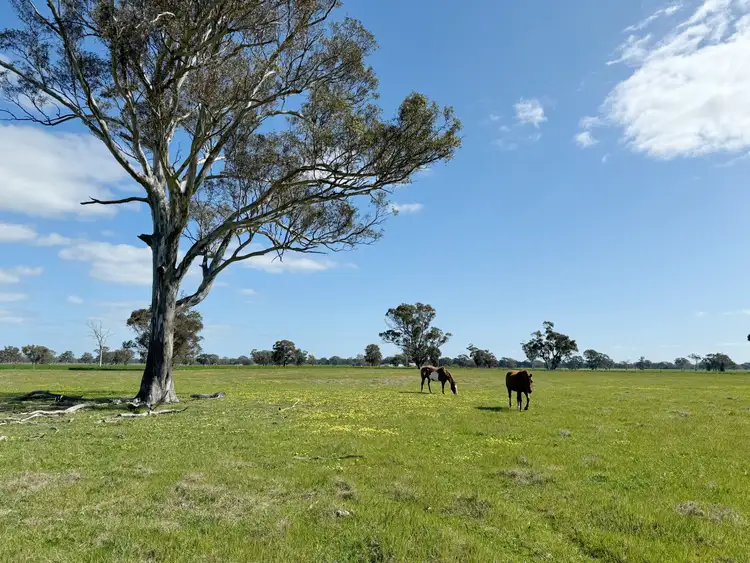 Second view of Homely rural property listing, Lot 25 Walla-Walla Road, Naracoorte SA 5271