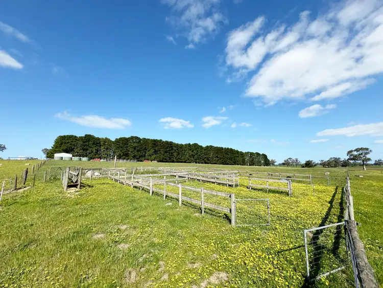 Sixth view of Homely rural property listing, Lot 25 Walla-Walla Road, Naracoorte SA 5271