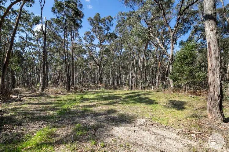 Fifth view of Homely rural property listing, Lot 6 Victoria Road, Scarsdale VIC 3351