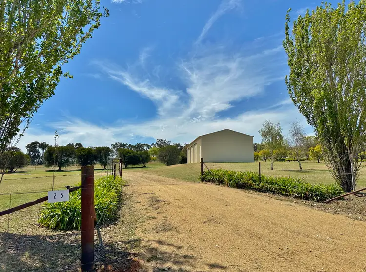 25 Batinichs Road, Young NSW 2594