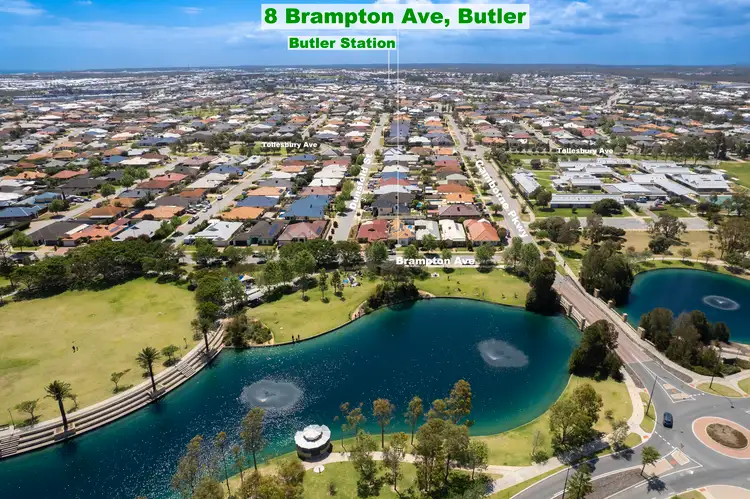 8 Brampton Avenue, Butler WA 6036
