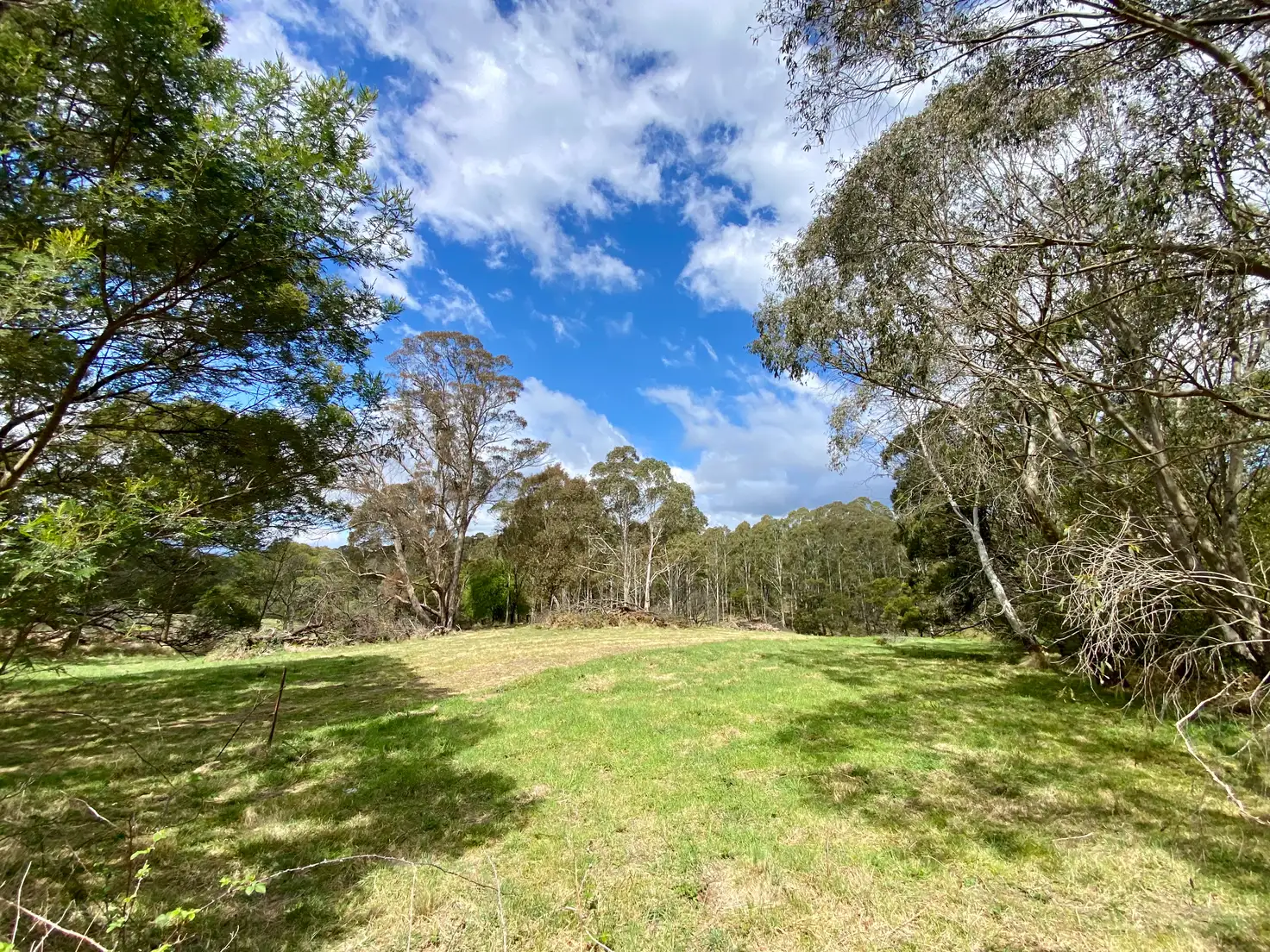 Main view of Homely land listing, 2 Wilson Lane, Majors Creek NSW 2622