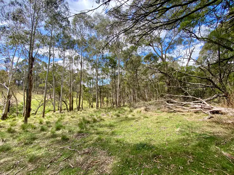 Third view of Homely land listing, 2 Wilson Lane, Majors Creek NSW 2622