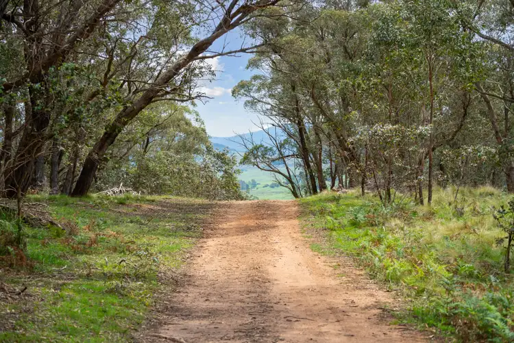 Fifth view of Homely rural property listing, 79 Mackeys Lane, Wyanbene NSW 2622