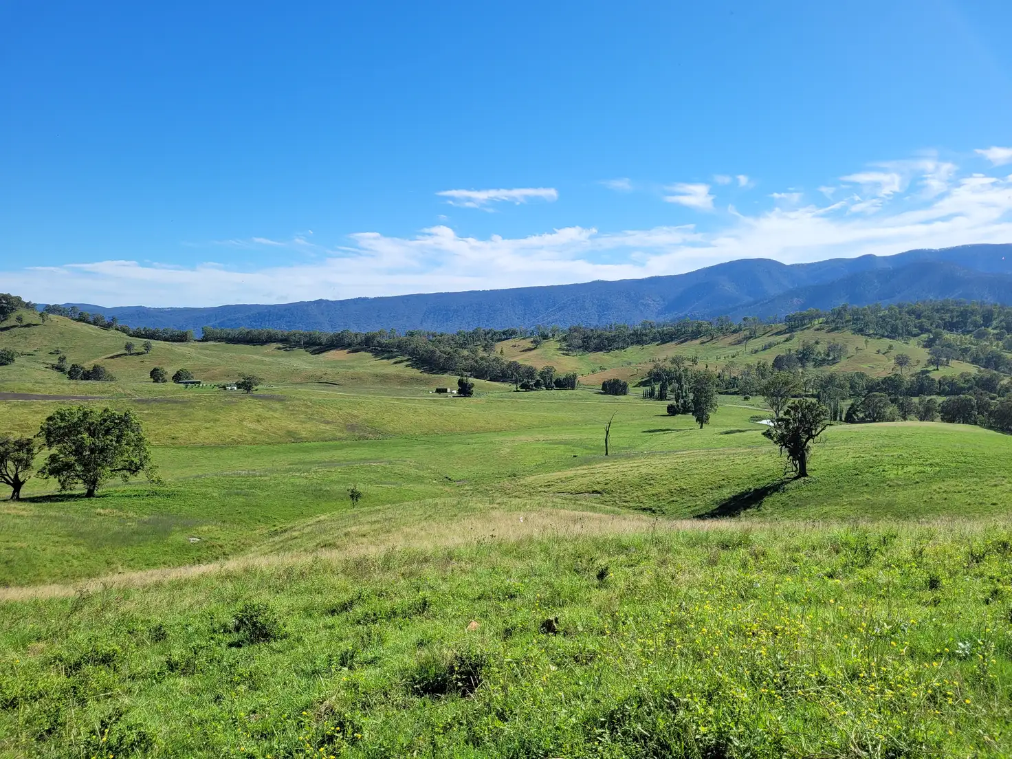Main view of Homely rural property listing, 552 Neringla Road, Neringla NSW 2622