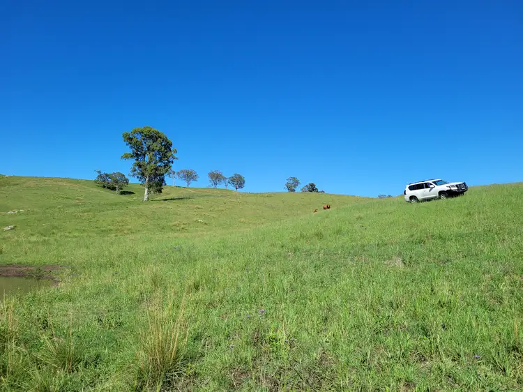 Sixth view of Homely rural property listing, 552 Neringla Road, Neringla NSW 2622