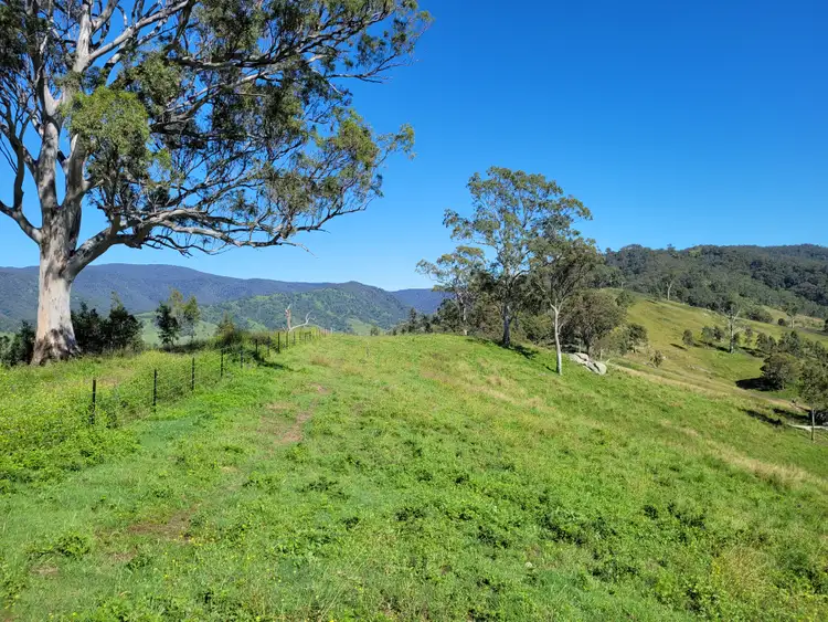 Sixth view of Homely rural property listing, 552 Neringla Road, Neringla NSW 2622