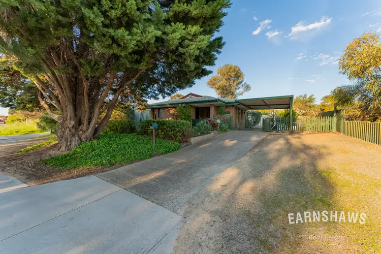 84 Blackadder Road, Swan View WA 6056