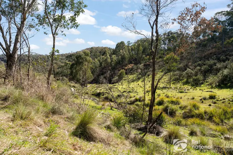 Third view of Homely rural property listing, 470 Green Gully Road, Mudgee NSW 2850