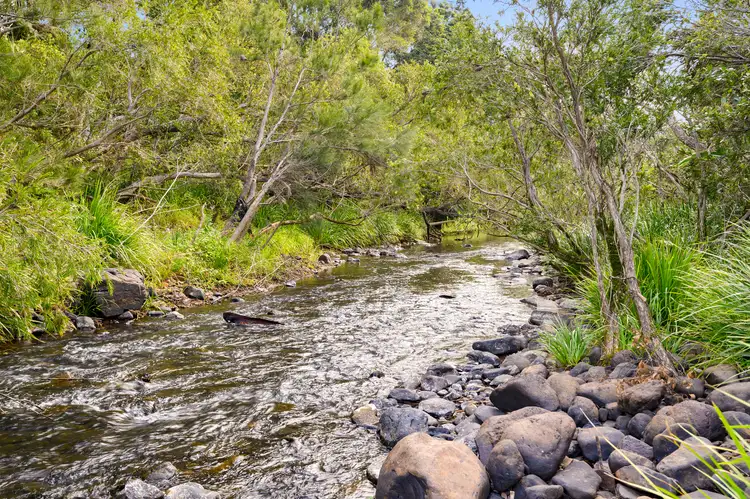 Fourth view of Homely rural property listing, 16 Heritage Drive, Mount Nathan QLD 4211