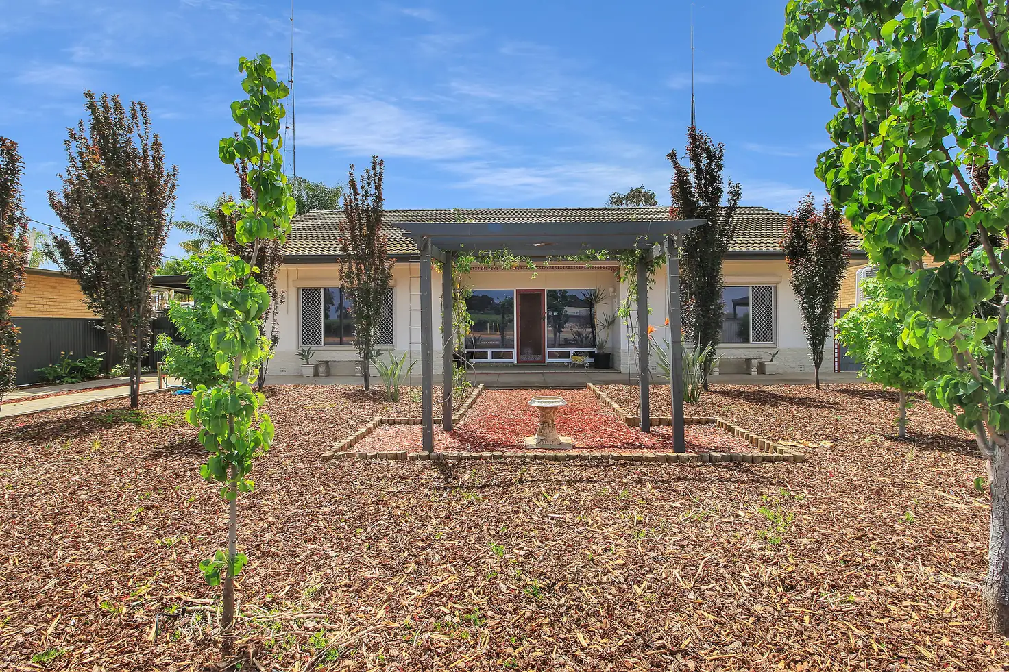 Main view of Homely house listing, 53 Tonkin Avenue, Barmera SA 5345