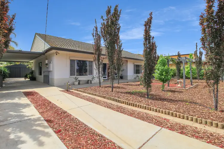 Second view of Homely house listing, 53 Tonkin Avenue, Barmera SA 5345