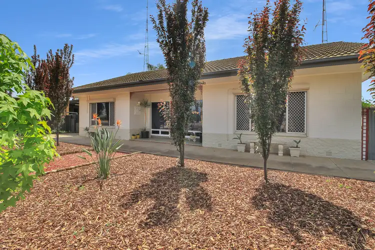 Third view of Homely house listing, 53 Tonkin Avenue, Barmera SA 5345