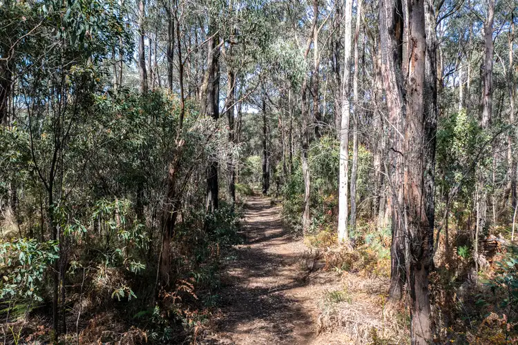 Third view of Homely land listing, 224 Edenvale Crescent, Kinglake West VIC 3757