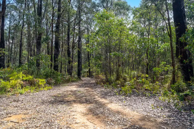 Fourth view of Homely land listing, 224 Edenvale Crescent, Kinglake West VIC 3757