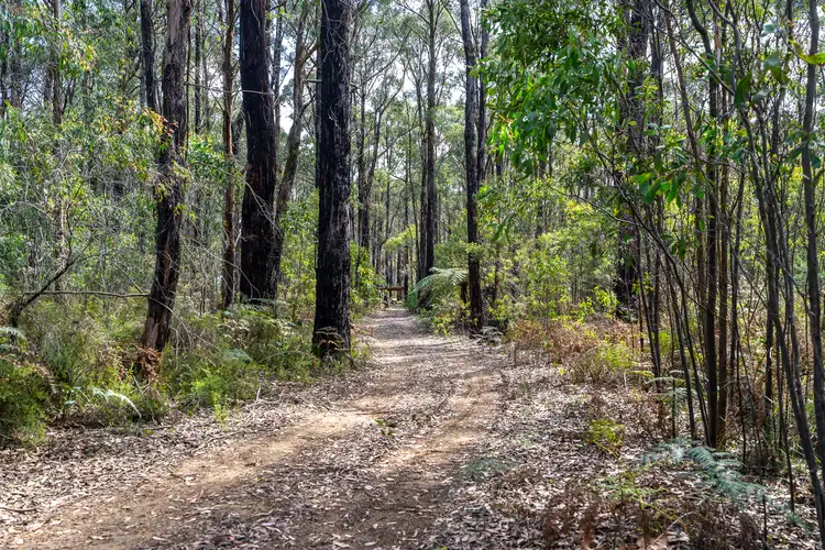 Fifth view of Homely land listing, 224 Edenvale Crescent, Kinglake West VIC 3757