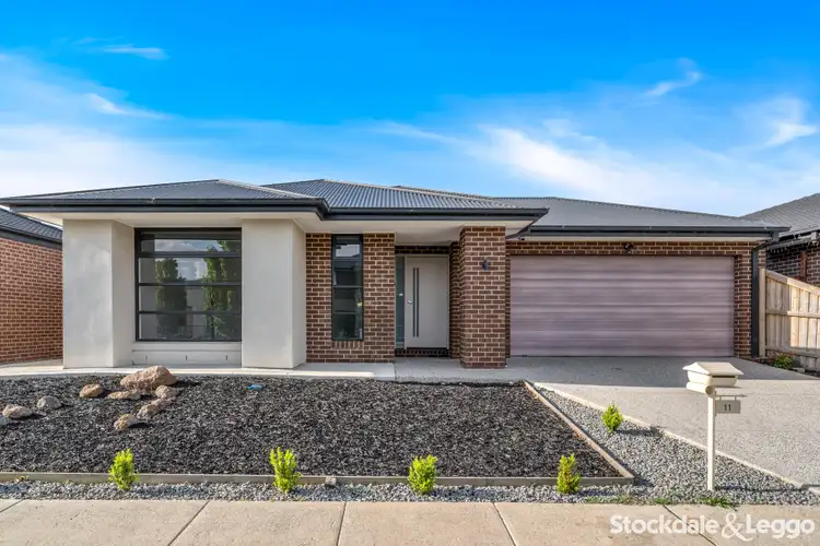 11 Warrnambool Street