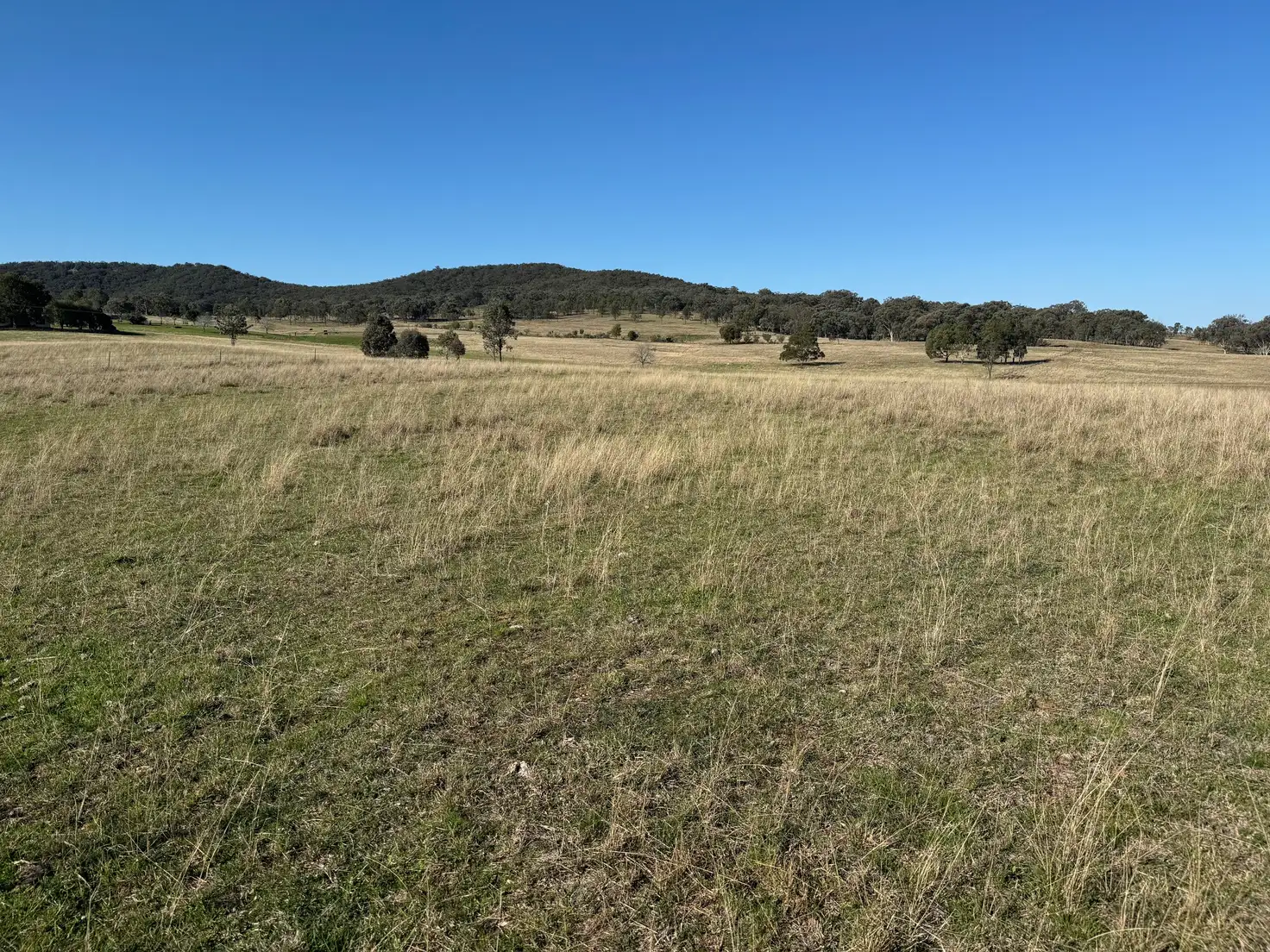 Main view of Homely rural property listing, 332 Kurtz Lane, Mudgee NSW 2850