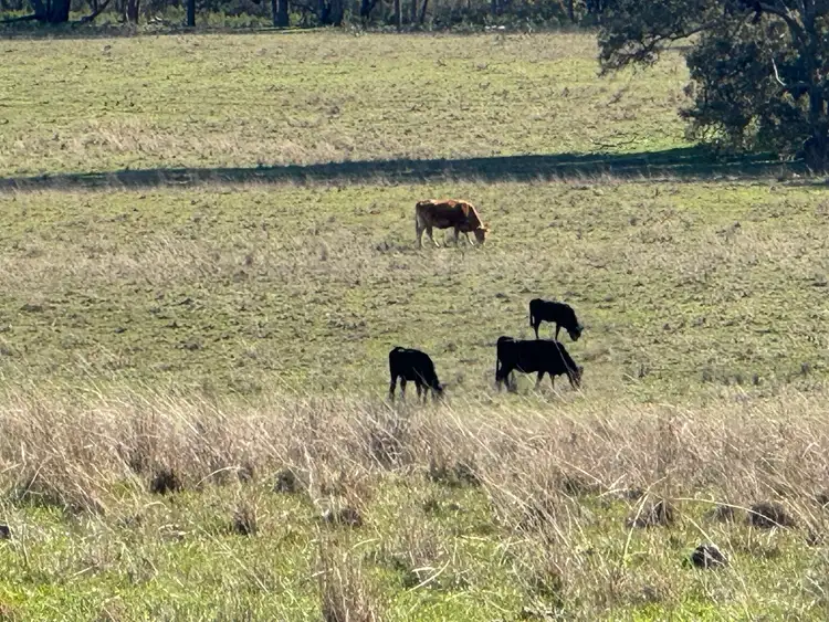 Third view of Homely rural property listing, 332 Kurtz Lane, Mudgee NSW 2850