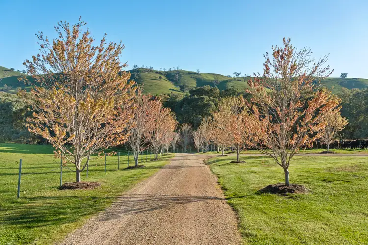 1591 Mansfield-woods Point Road, Piries VIC 3723