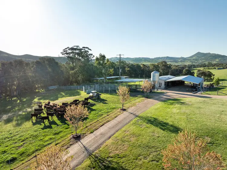 Third view of Homely rural property listing, 1591 Mansfield-woods Point Road, Piries VIC 3723