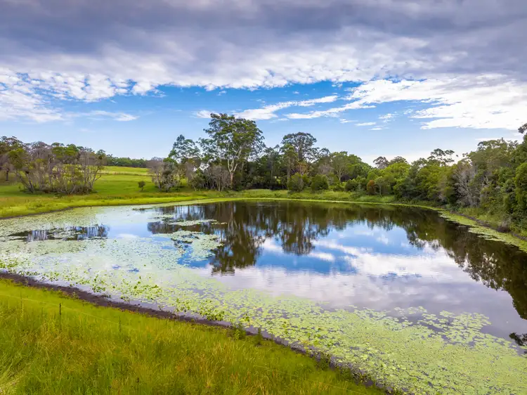 Seventh view of Homely rural property listing, 8 Langley Vale Road, Langley Vale NSW 2426