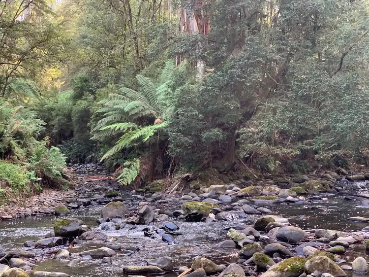 Second view of Homely rural property listing, 785 Foster Mount Best Rd, Mount Best VIC 3960